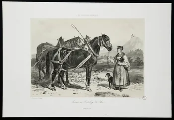 estampe LES CHEVAUX FRANÇAIS 1975.23.53 Photo