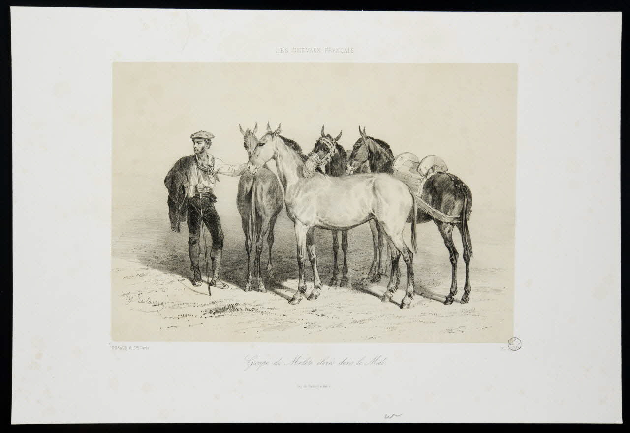 estampe LES CHEVAUX FRANÇAIS 1975.23.54 Photo