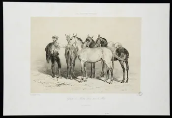 estampe LES CHEVAUX FRANÇAIS 1975.23.54 Photo