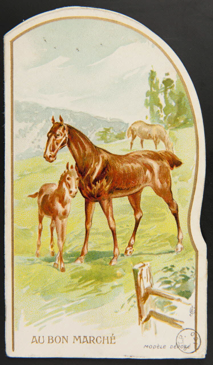 carte réclame Chevaux dans une prairie 1975.3.177 Photo