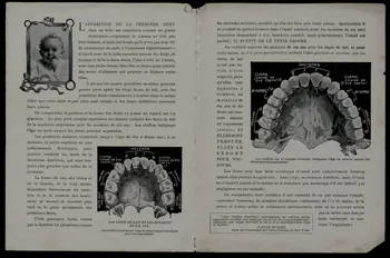 estampe La Beauté,  La Santé et des  Bonnes Dents 1975.3.316  Photo