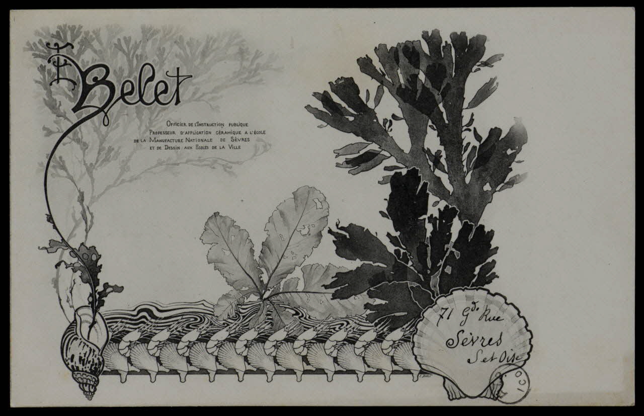 estampe Algues et coquillages 1975.3.374 Photo