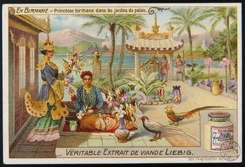 carte réclame EN BIRMANIE - Princesse birmane dans les jardins du palais. 1975.3.70 Photo