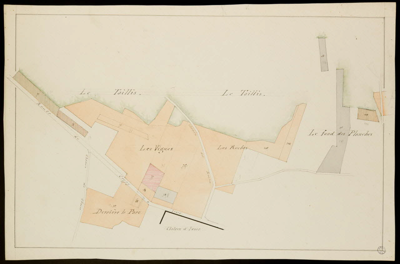 Fernand Langlois partie d'un ensemble de dessins Le Taillis. Ile-de-France, France 1870-1880 1975.42.23 Photo