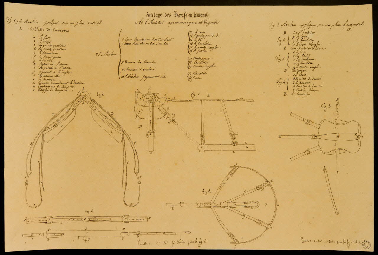 Fernand Langlois partie d'un ensemble de dessins Attelage des Boeufs en limons. Ile-de-France, France 1870-1880 1975.42.31 Photo