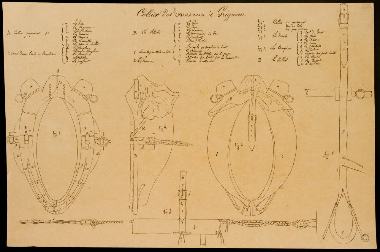 Fernand Langlois partie d'un ensemble de dessins Collier des Taureaux à Grignon Ile-de-France, France 1870-1880 1975.42.32 Photo