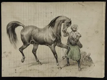 estampe Turc et son cheval 1975.46.104  Photo