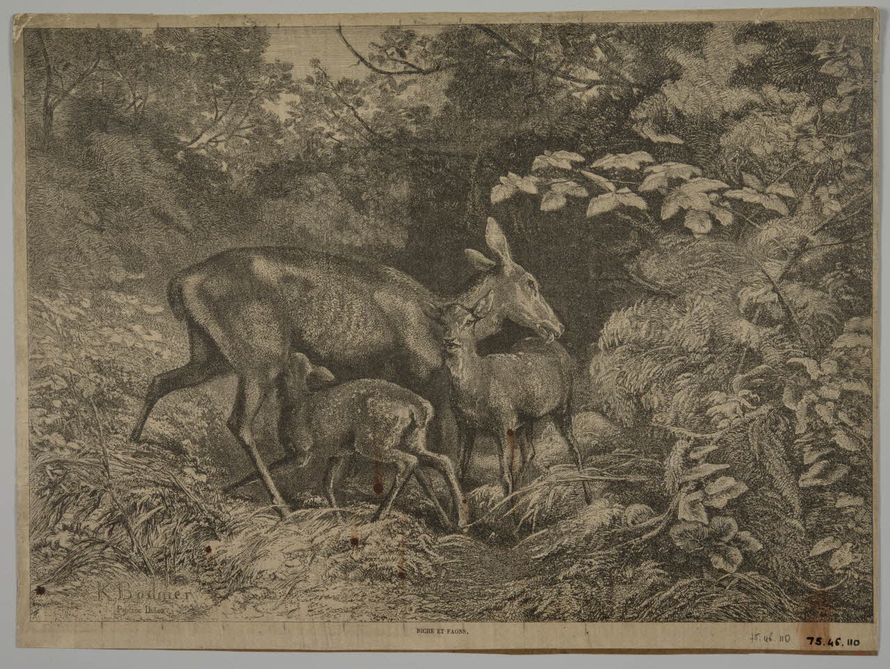 estampe BICHE ET FAONS. 1975.46.110 Photo