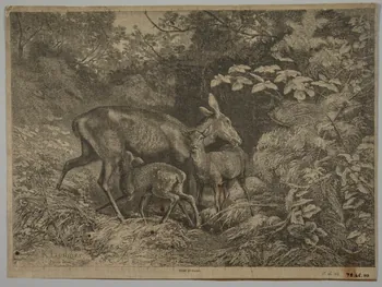 estampe BICHE ET FAONS. 1975.46.110  Photo