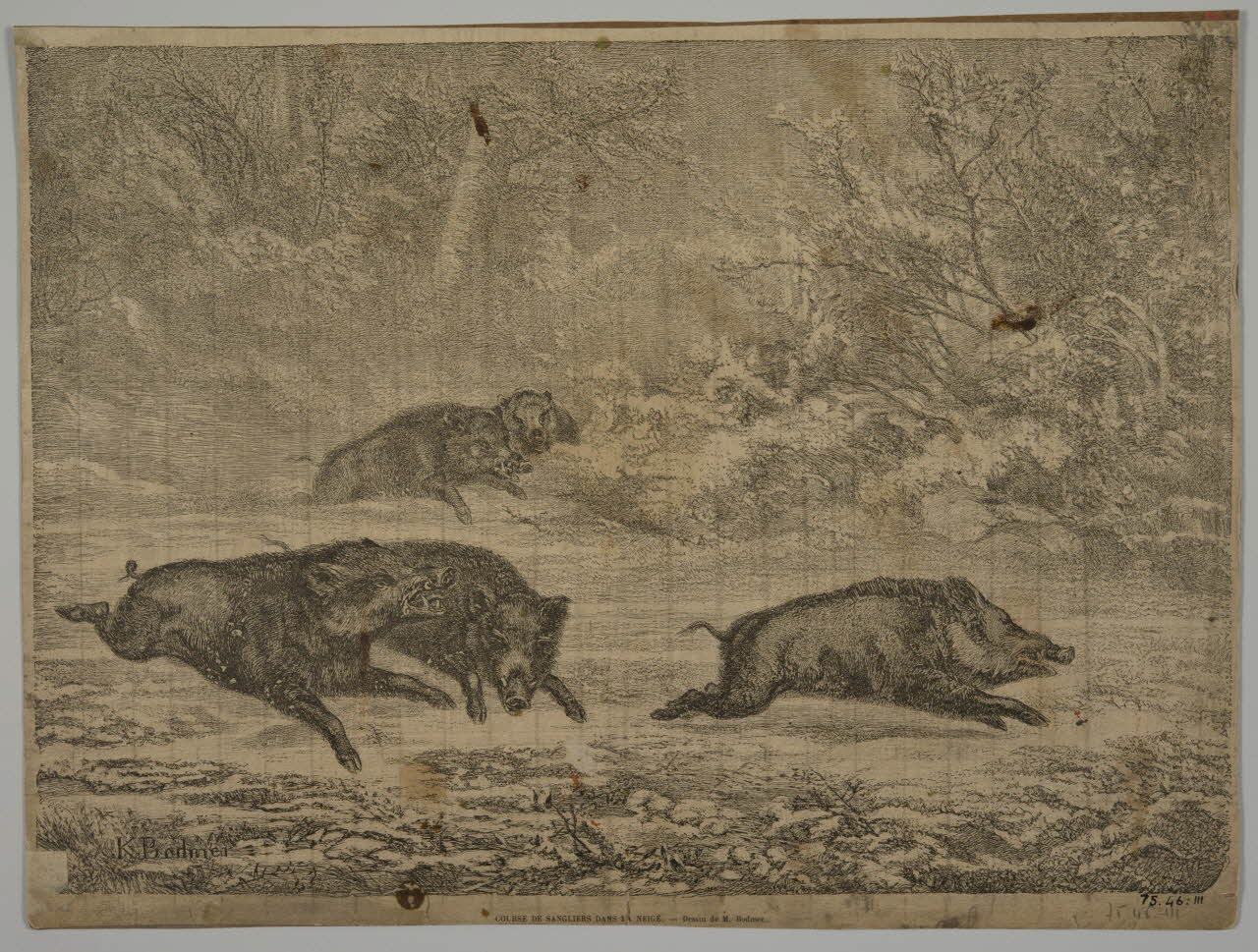 estampe COURSE DE SANGLIERS DANS LA NEIGE. 1975.46.111 Photo