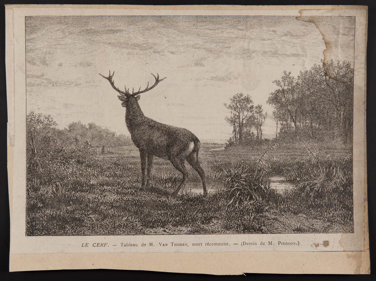 estampe LE CERF 1975.46.112 Photo