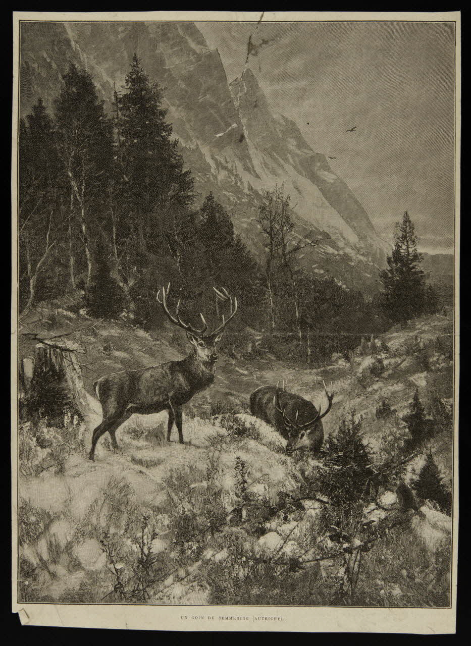 estampe UN COIN DE SEMMERING (AUTRICHE). 1975.46.113 Photo