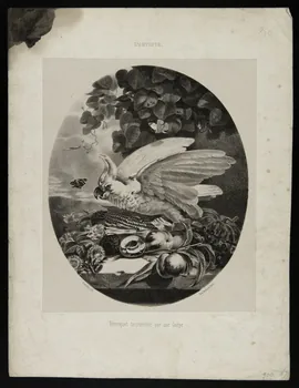 estampe L'ARTISTE.  Perroquet tourmenté par une Guêpe. 1975.46.131 Photo