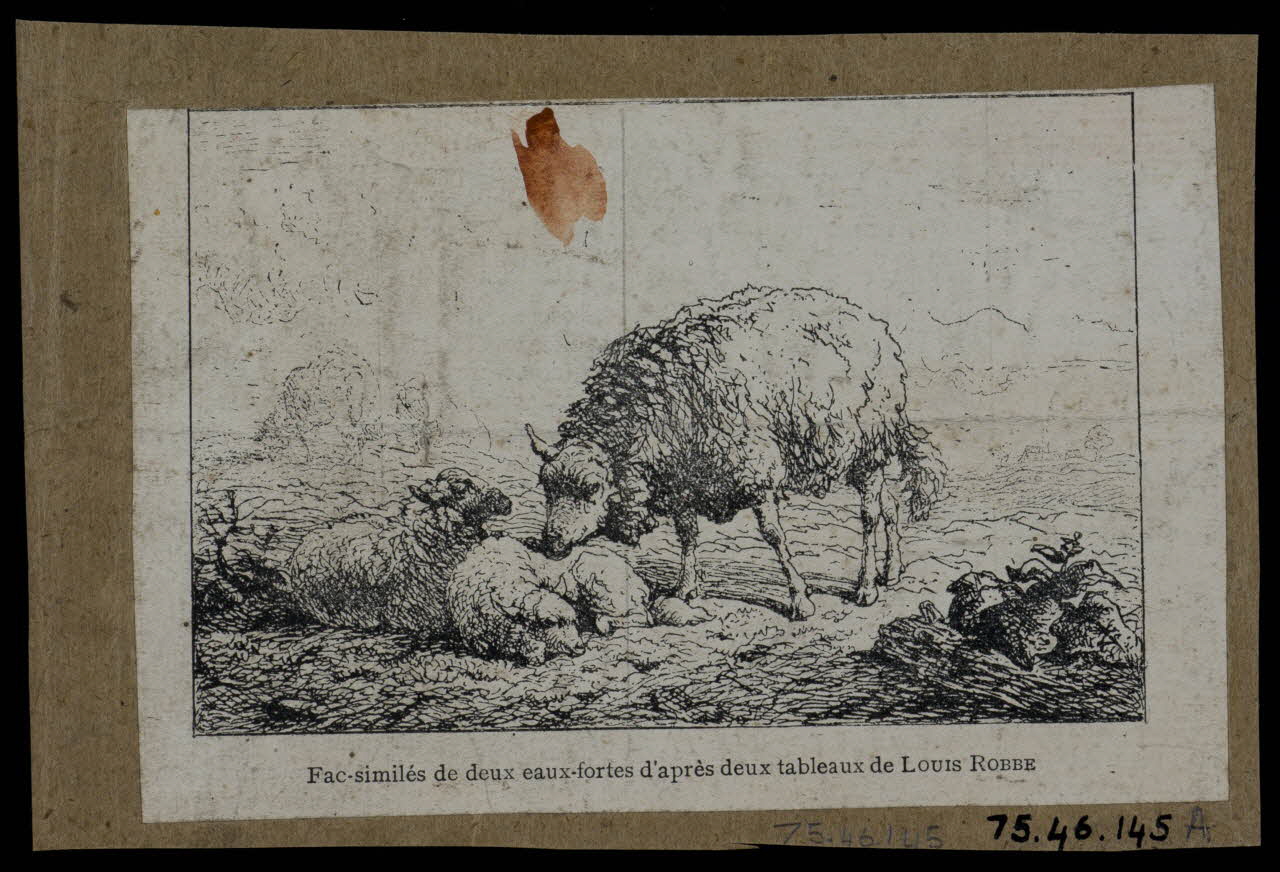 estampe Mouton 1975.46.145 Photo