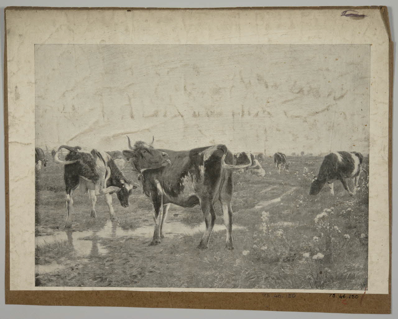 estampe Vaches dans un champ 1975.46.150 Photo