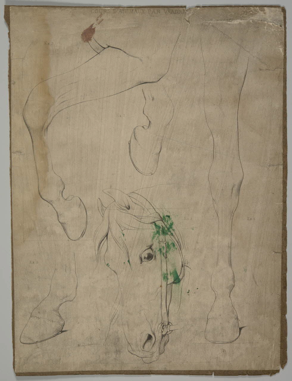 estampe Etude pour le dessin d'un cheval 1975.46.158 Photo