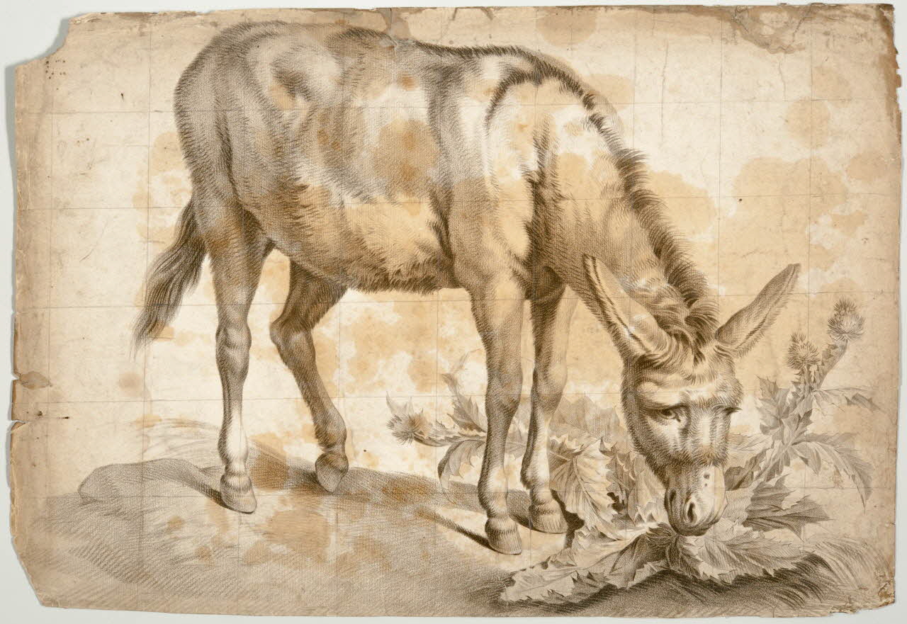 estampe Ane 1975.46.161 Photo