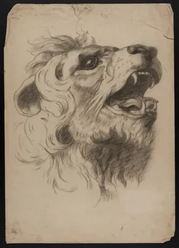 Dailland E. dessin Projet de store de boutique : tête de fauve 1880 1975.46.166 Photo