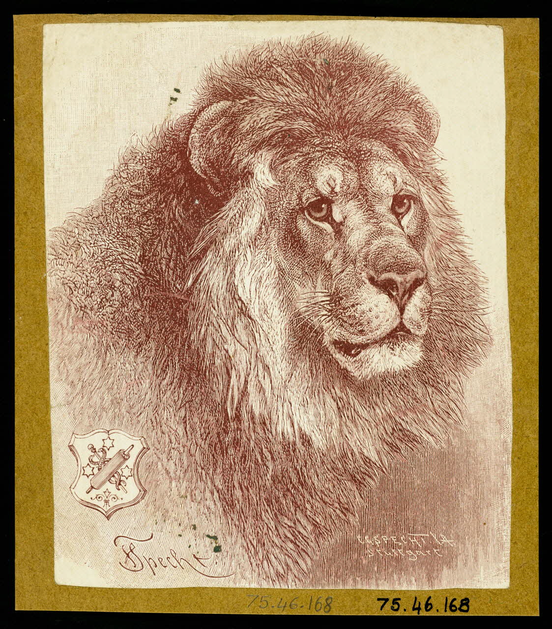 estampe Tête de lion 1975.46.168 Photo