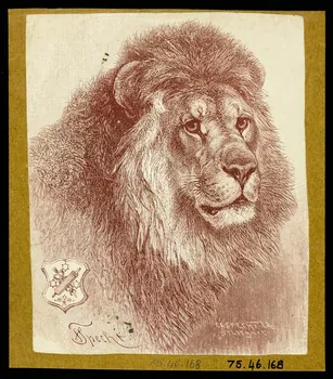 estampe Tête de lion 1975.46.168 Photo