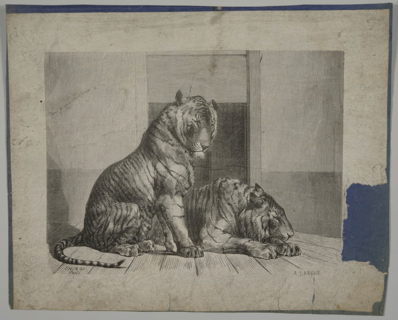 estampe Tigres 1975.46.173 Photo