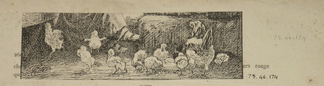 estampe Poule et poussins 1975.46.174 Photo