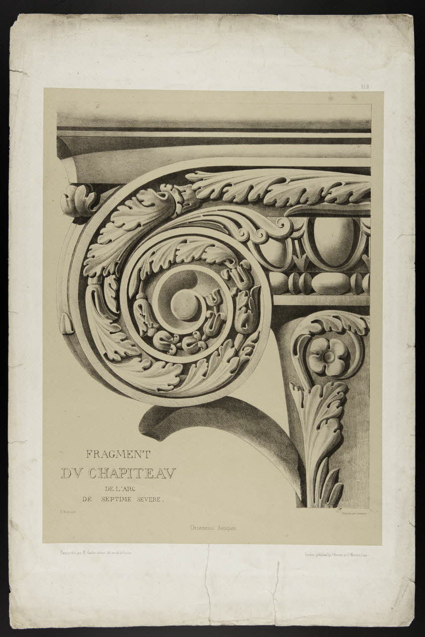 estampe FRAGMENT  DU CHAPITEAU  DE L'ARC  DE SEPTIME SEVERE. 1975.46.215 Photo