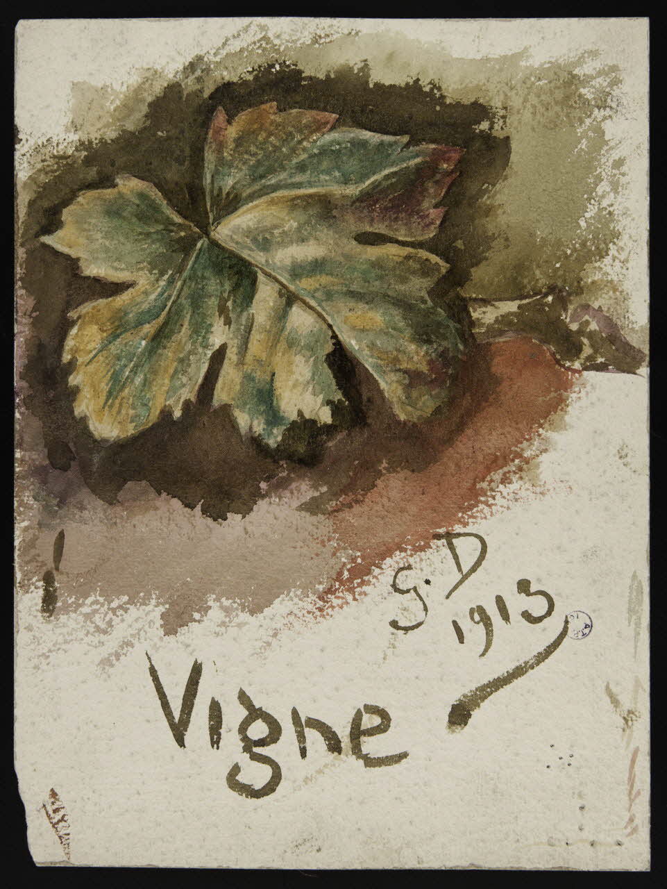 Dailland E. dessin Vigne 1913 1975.46.231  Photo
