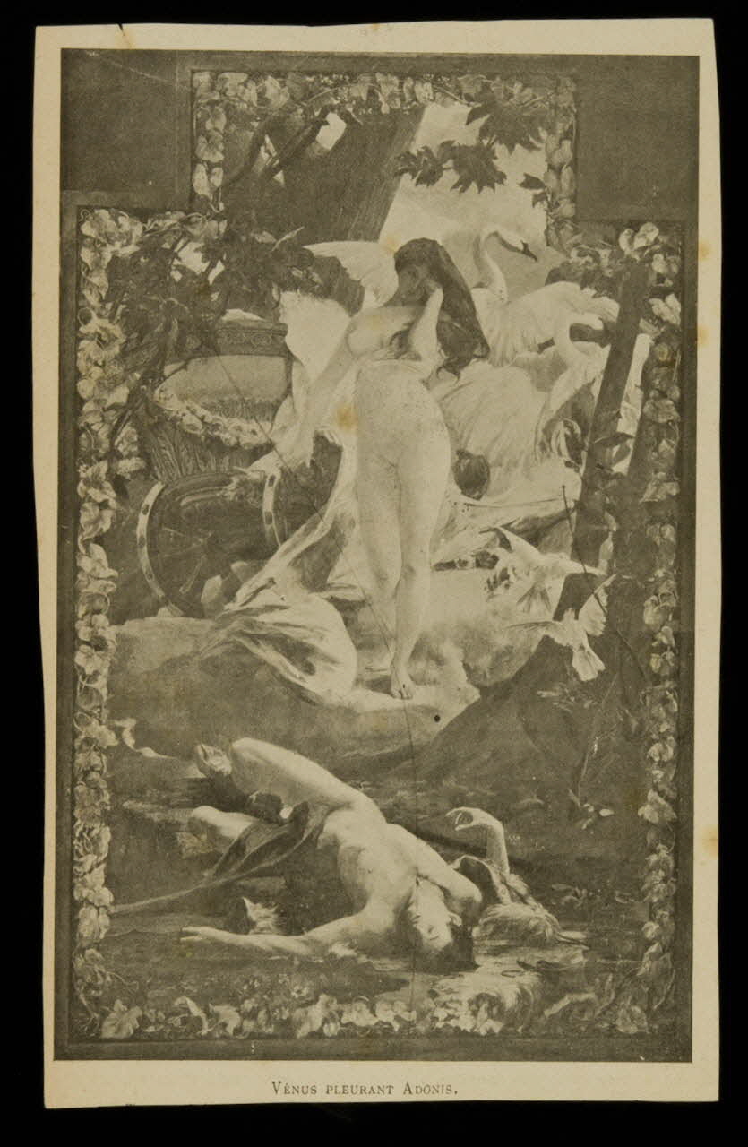 album VENUS PLEURANT ADONIS. 1975.46.239.29 Photo