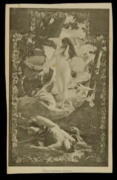 album VENUS PLEURANT ADONIS. 1975.46.239.29 Photo