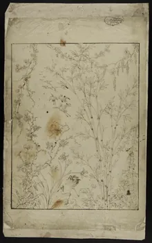 Dailland E. dessin Projet de store japonisant 1880 1975.46.24  Photo