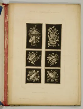album MOTIFS DE DECORATION MODERNE. 1975.46.243.46 Photo
