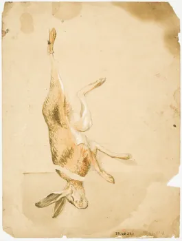 Dailland E. ensemble (2) Etudes pour un décor de boutique : lièvre mort au recto et au verso 1880 1975.46.27 Photo
