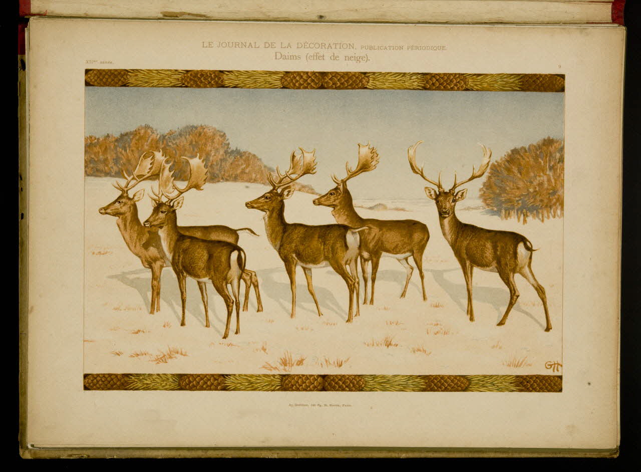 Guérinet album LE JOURNAL DE LA DECORATION.  Daims (effet de neige). Ile-de-France, France 1901 1975.46.426.9 Photo