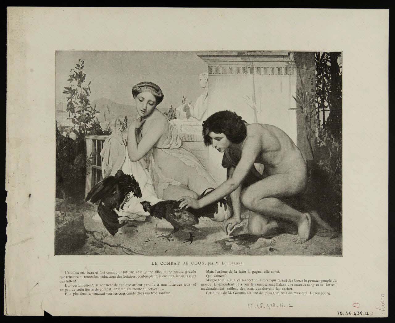 estampe LE COMBAT DE COQS, par M. L. GERÔME. 1975.46.438.12.1/2 Photo