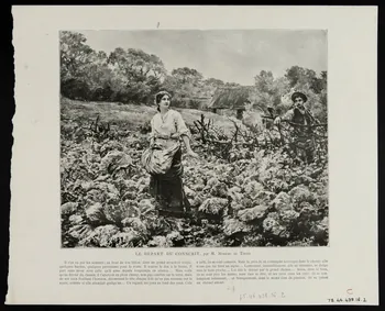 estampe LE MIROIR, par M. PIERRE CARRIER-BELLEUSE 1975.46.438.16.1/2 Photo