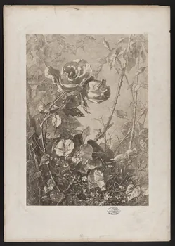 estampe Flore pittoresque 1975.46.467.11 Photo