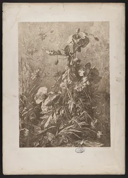 estampe Flore pittoresque 1975.46.467.12 Photo