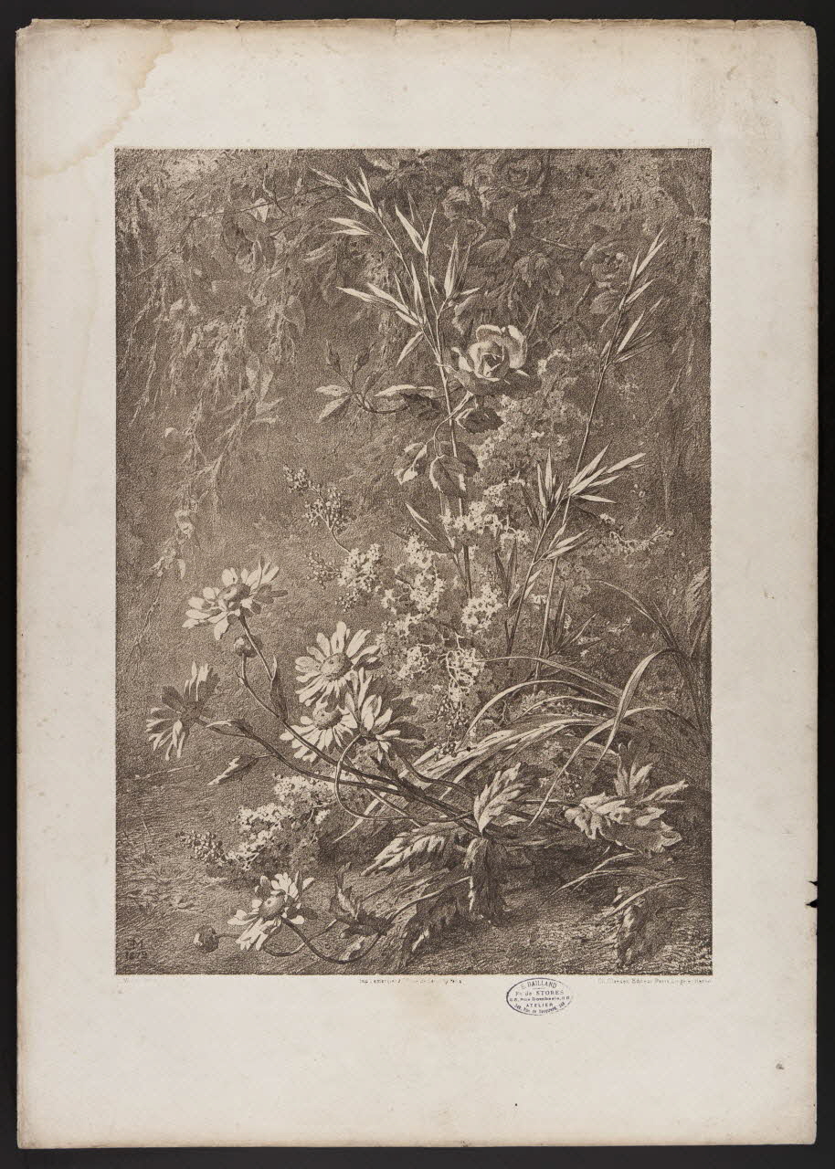 estampe Flore pittoresque 1975.46.467.13 Photo