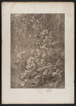 estampe Flore pittoresque 1975.46.467.13 Photo