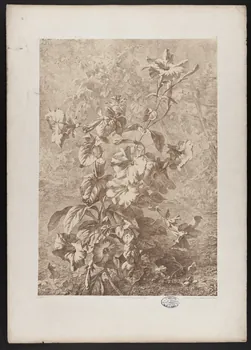 estampe Flore pittoresque 1975.46.467.15 Photo