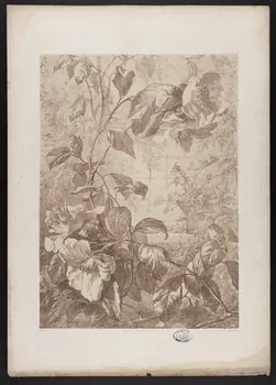 estampe Flore pittoresque 1975.46.467.16 Photo