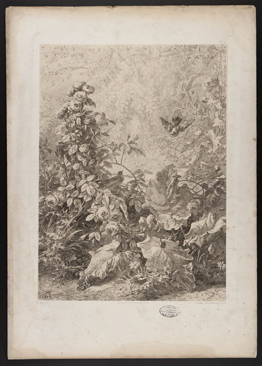 estampe Flore pittoresque 1975.46.467.17 Photo