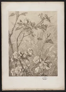 estampe Flore pittoresque 1975.46.467.18 Photo