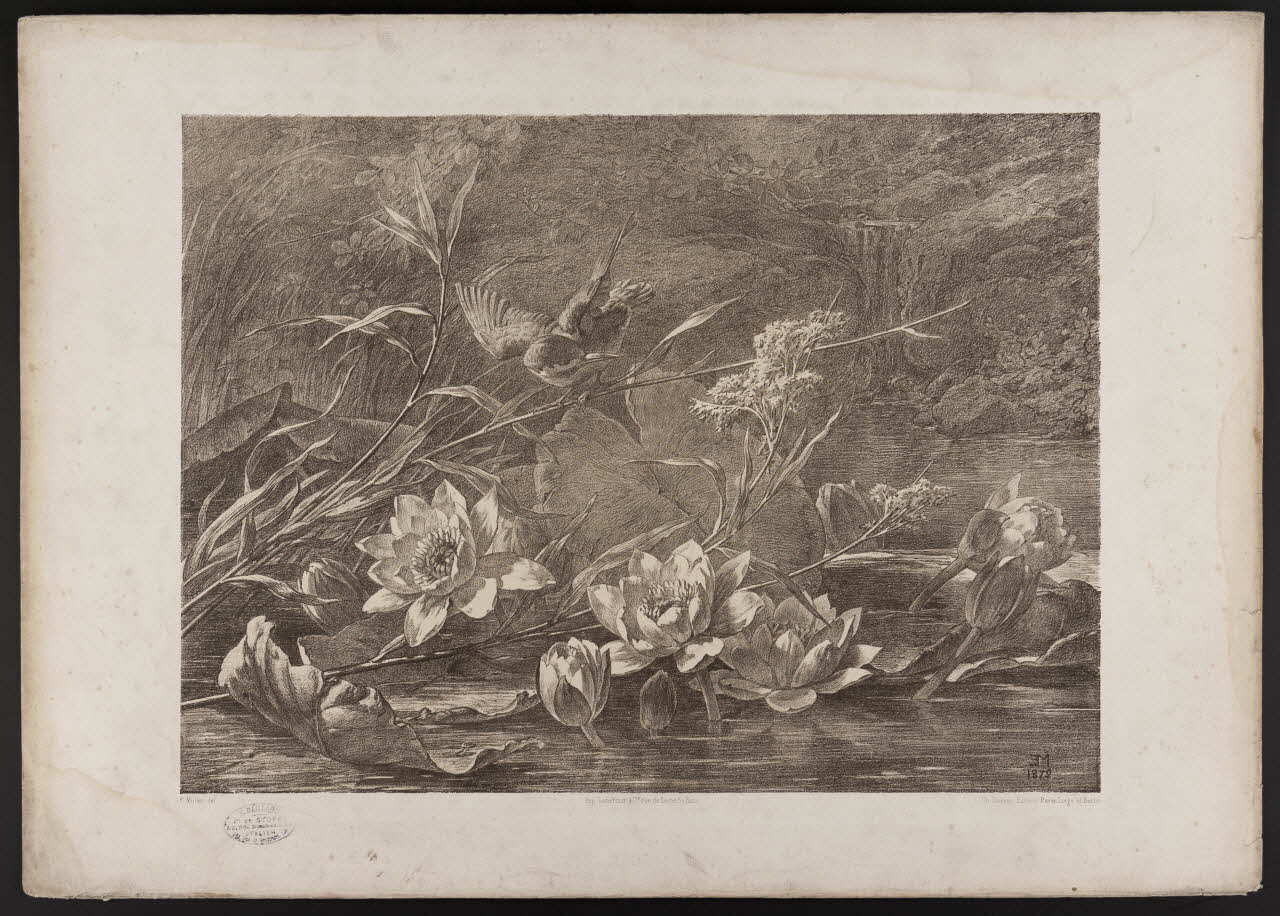 estampe Flore pittoresque 1975.46.467.20 Photo