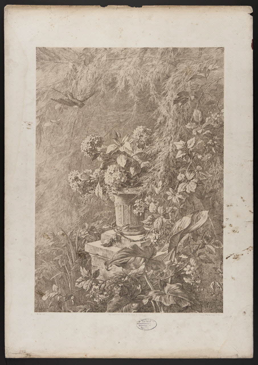 estampe Flore pittoresque 1975.46.467.21 Photo