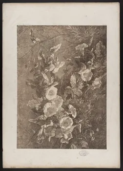 estampe Flore pittoresque 1975.46.467.22 Photo