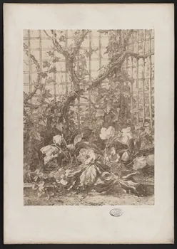 estampe Flore pittoresque 1975.46.467.23 Photo