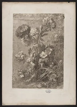 estampe Flore pittoresque 1975.46.467.3 Photo