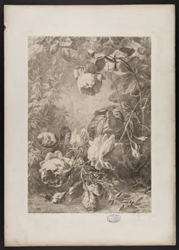 estampe Flore pittoresque 1975.46.467.5 Photo